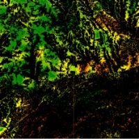 FORESIGHT - Monitoramento