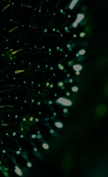 Listagem de Emissões